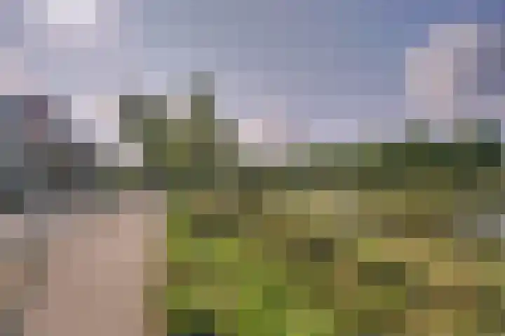 Sophiastraat 3 A Leiden thumbnail 27