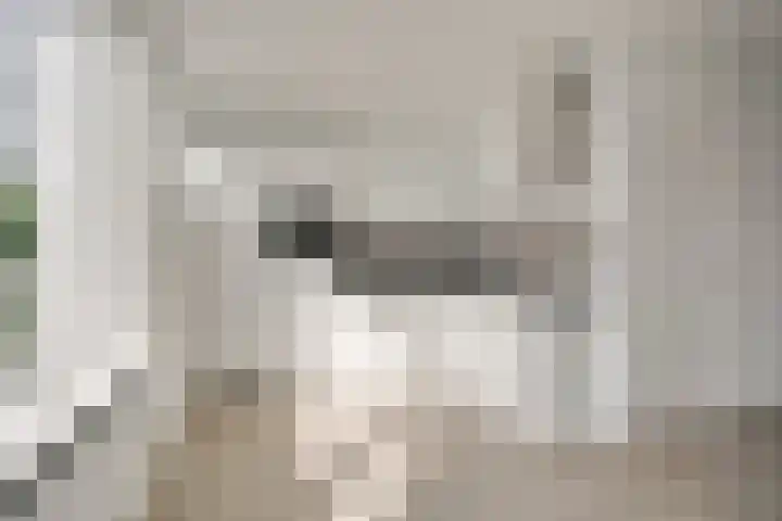 Sophiastraat 3 A Leiden thumbnail 9