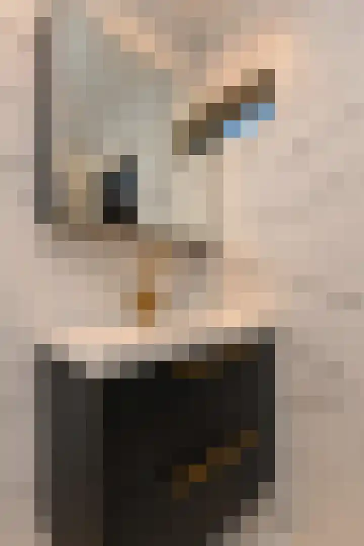 Sophiastraat 3 Pijnacker thumbnail 14