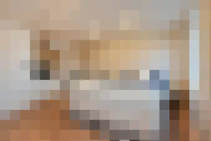 Sophiastraat 3 Pijnacker thumbnail 19