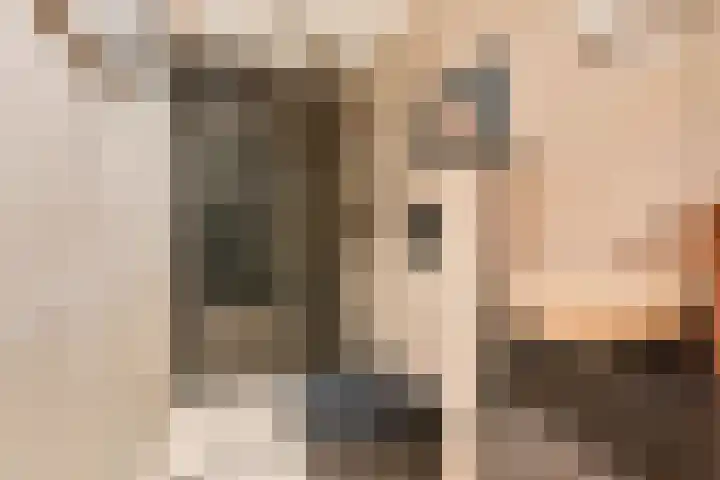 Sophiastraat 3 Pijnacker thumbnail 20