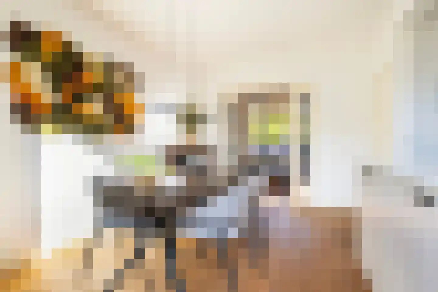 Sophiastraat 3 Sneek thumbnail 19