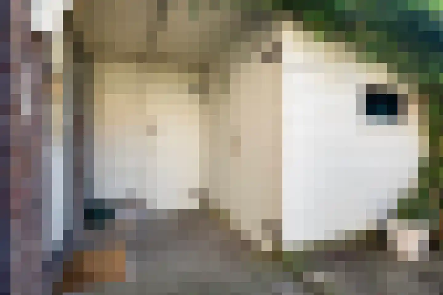 Sophiastraat 3 Sneek thumbnail 32