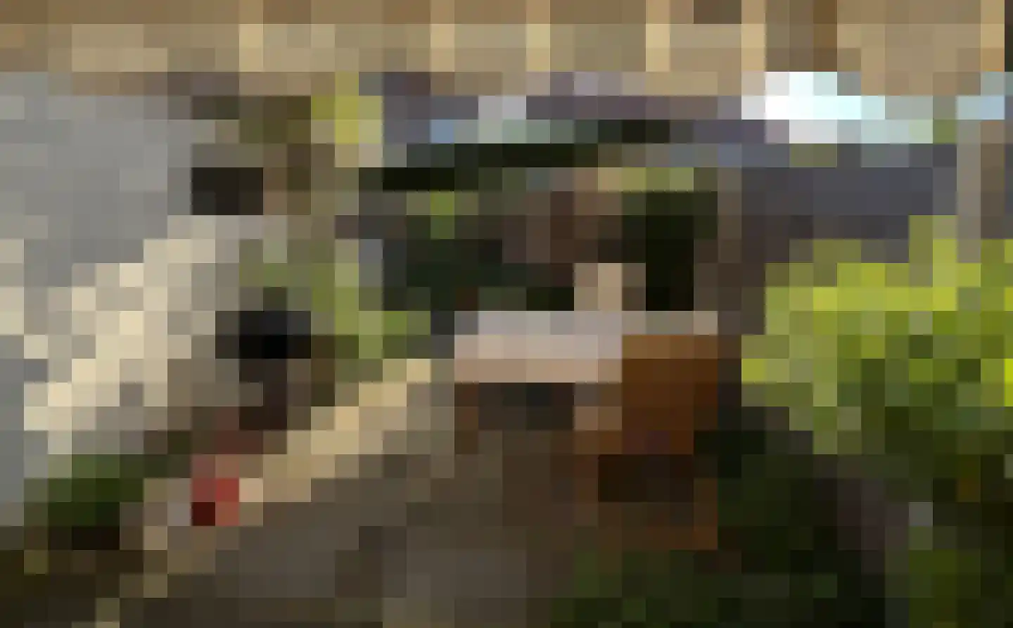 Sophiastraat 3 Sneek thumbnail 5