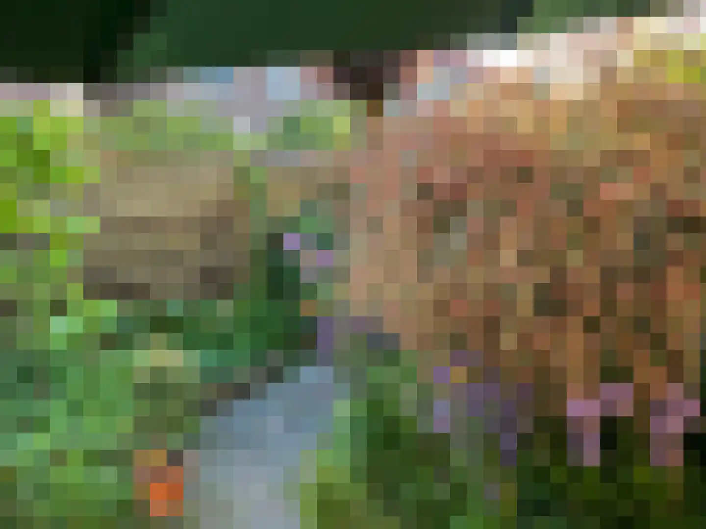 Sophiastraat 3 Sneek thumbnail 52