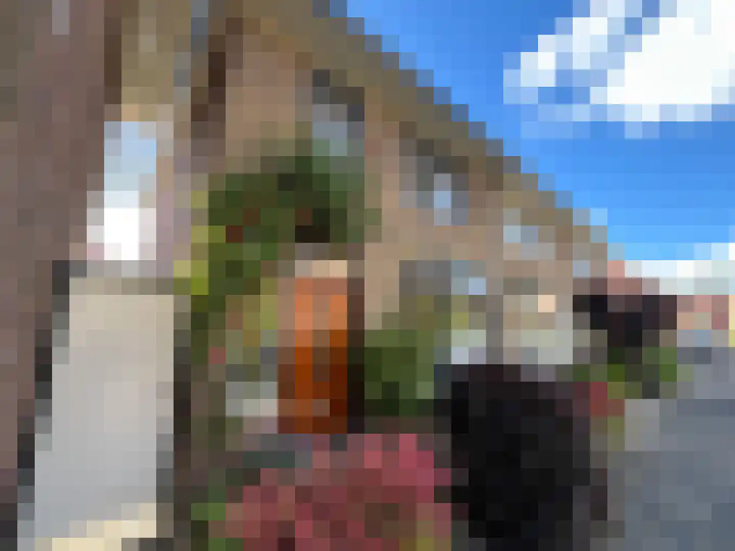 Sophiastraat 3 Sneek thumbnail 8
