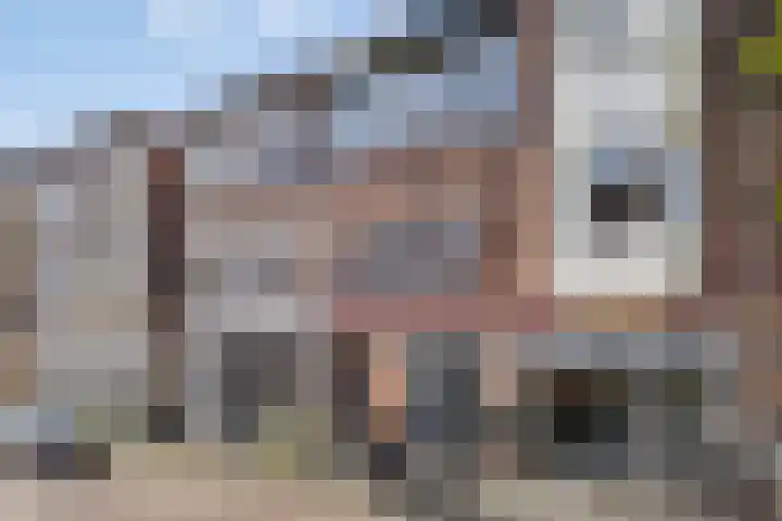 Sophiastraat 30 a Groningen thumbnail 16