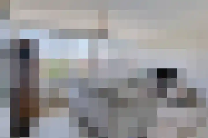 Sophiastraat 30 a Groningen thumbnail 6