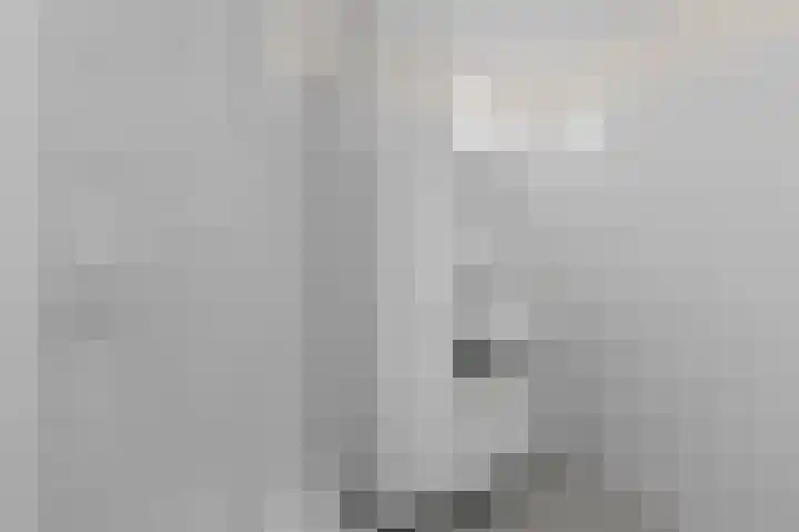 Sophiastraat 31 Roosendaal thumbnail 12