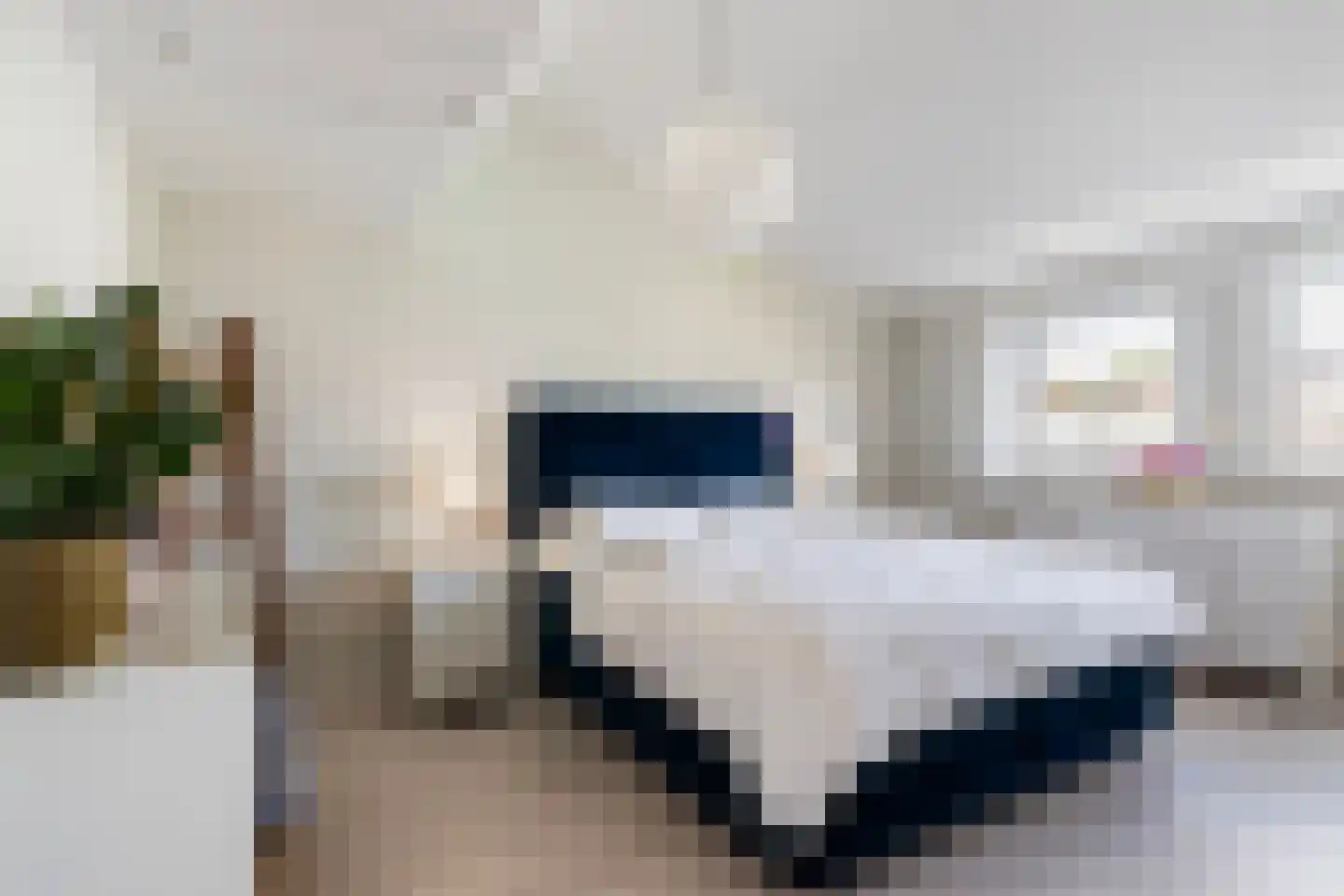 Sophiastraat 32 Dordrecht thumbnail 13