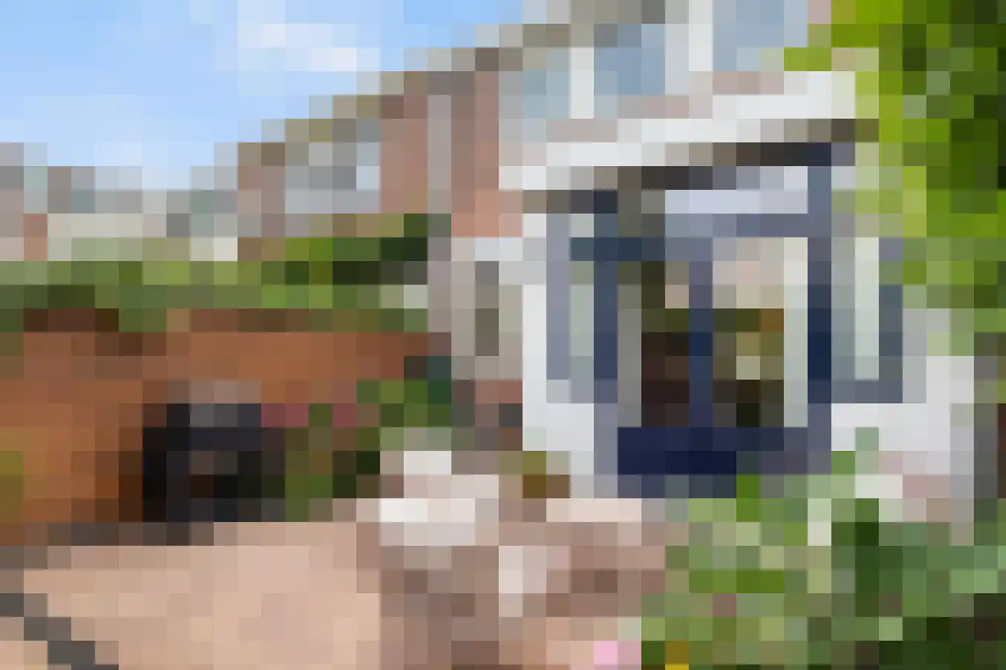 Sophiastraat 32 Dordrecht thumbnail 19