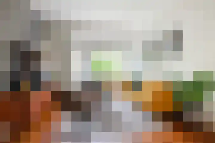 Sophiastraat 32 Gouda thumbnail 11