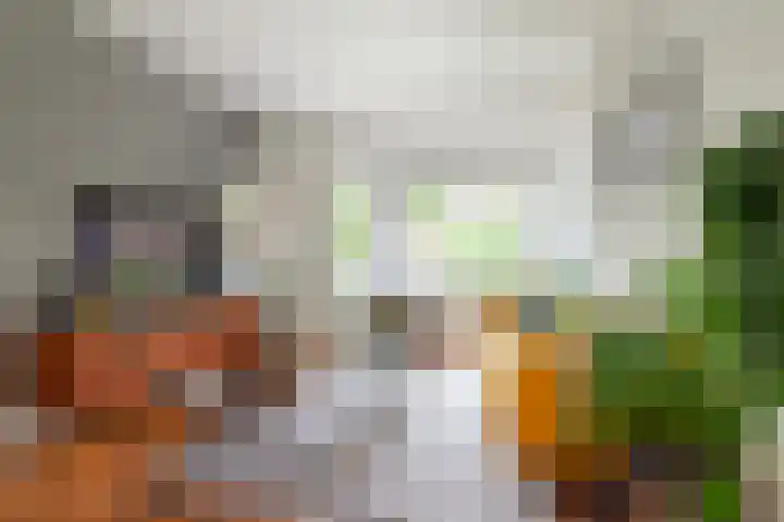 Sophiastraat 32 Gouda thumbnail 13