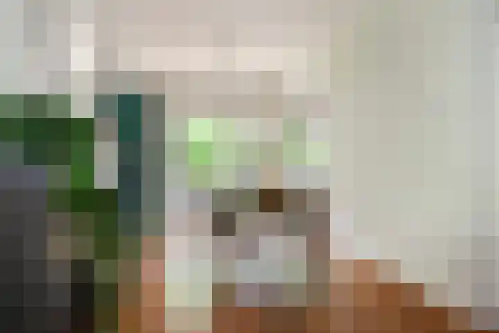 Sophiastraat 32 Gouda thumbnail 17