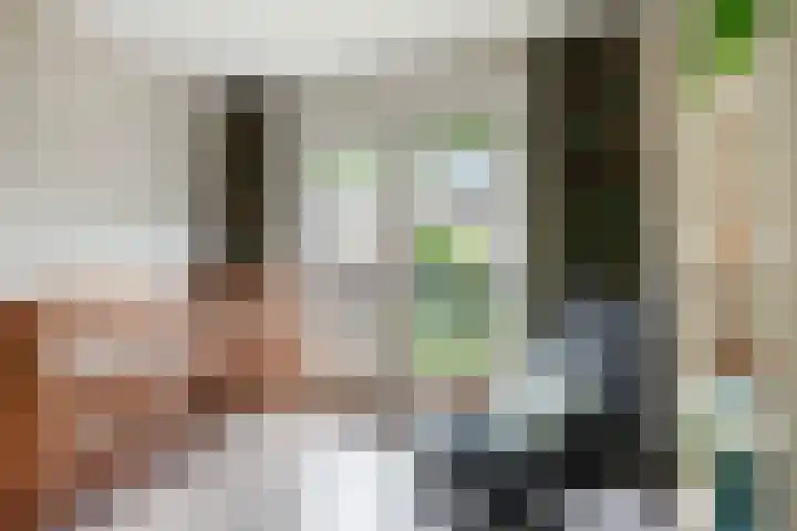Sophiastraat 32 Gouda thumbnail 30