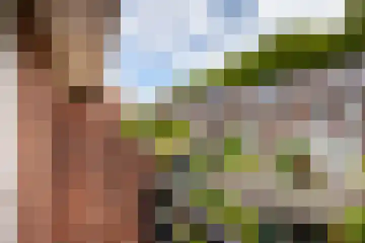 Sophiastraat 32 Gouda thumbnail 33