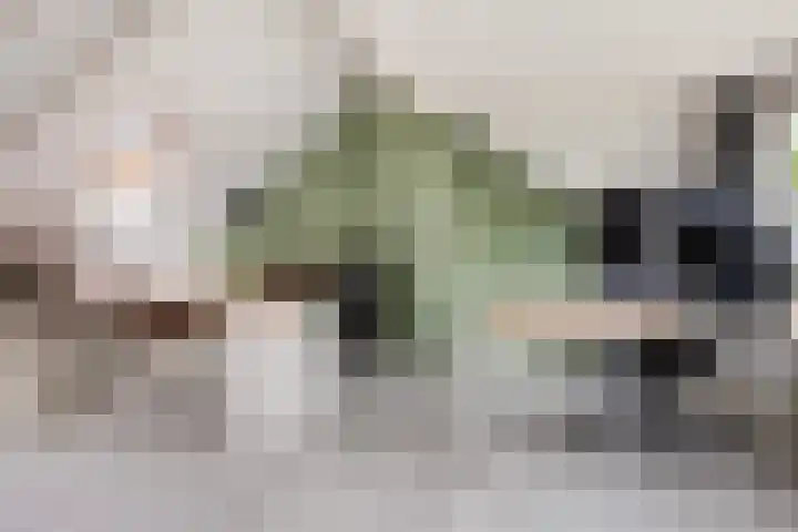 Sophiastraat 32 Gouda thumbnail 36