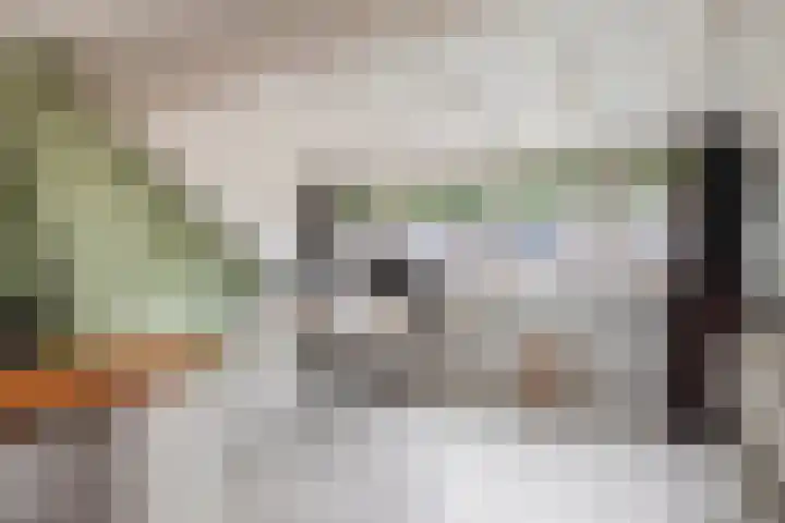 Sophiastraat 32 Gouda thumbnail 38