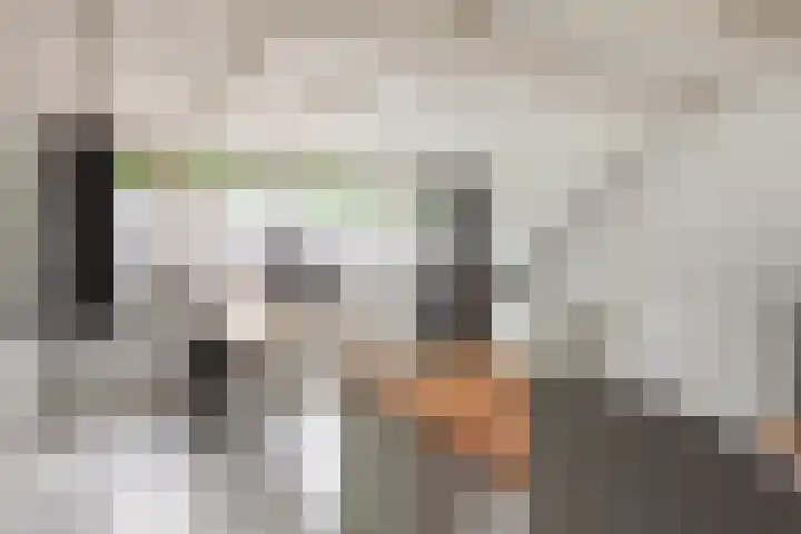 Sophiastraat 32 Gouda thumbnail 39
