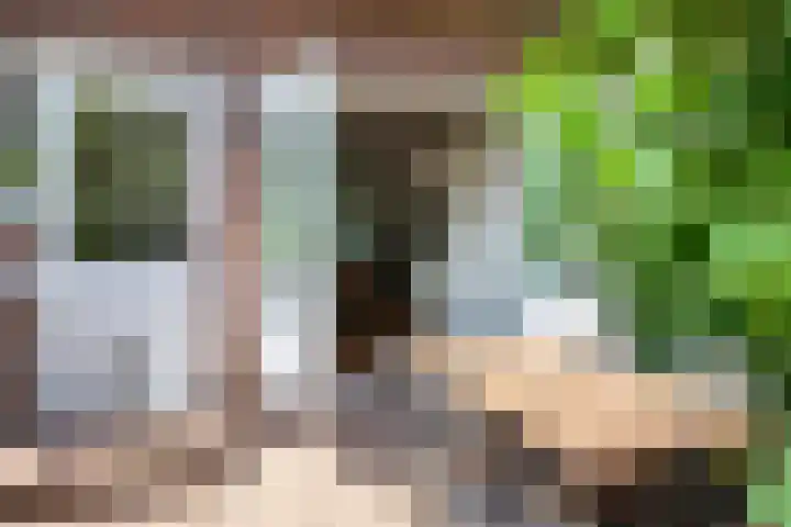 Sophiastraat 32 Gouda thumbnail 41