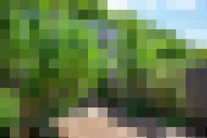 Sophiastraat 32 Gouda thumbnail 42