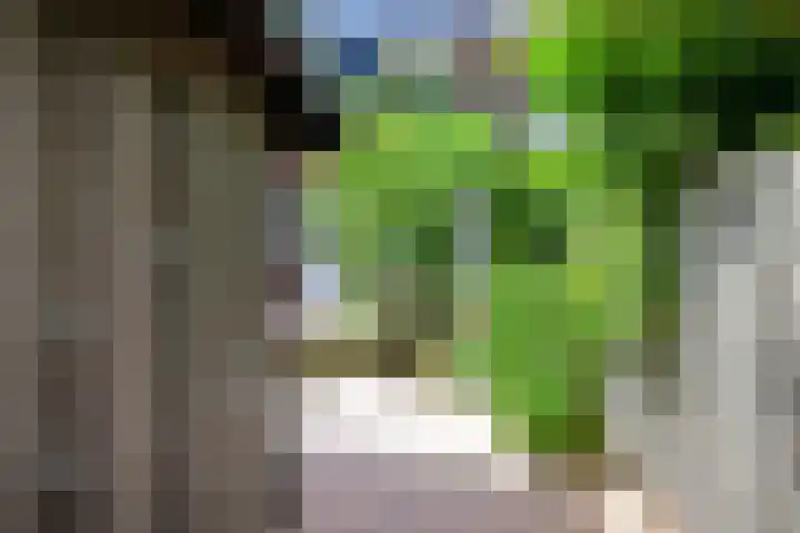 Sophiastraat 32 Gouda thumbnail 45