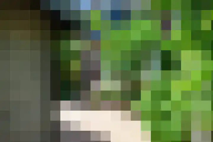 Sophiastraat 32 Gouda thumbnail 46
