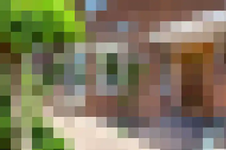 Sophiastraat 32 Gouda thumbnail 6