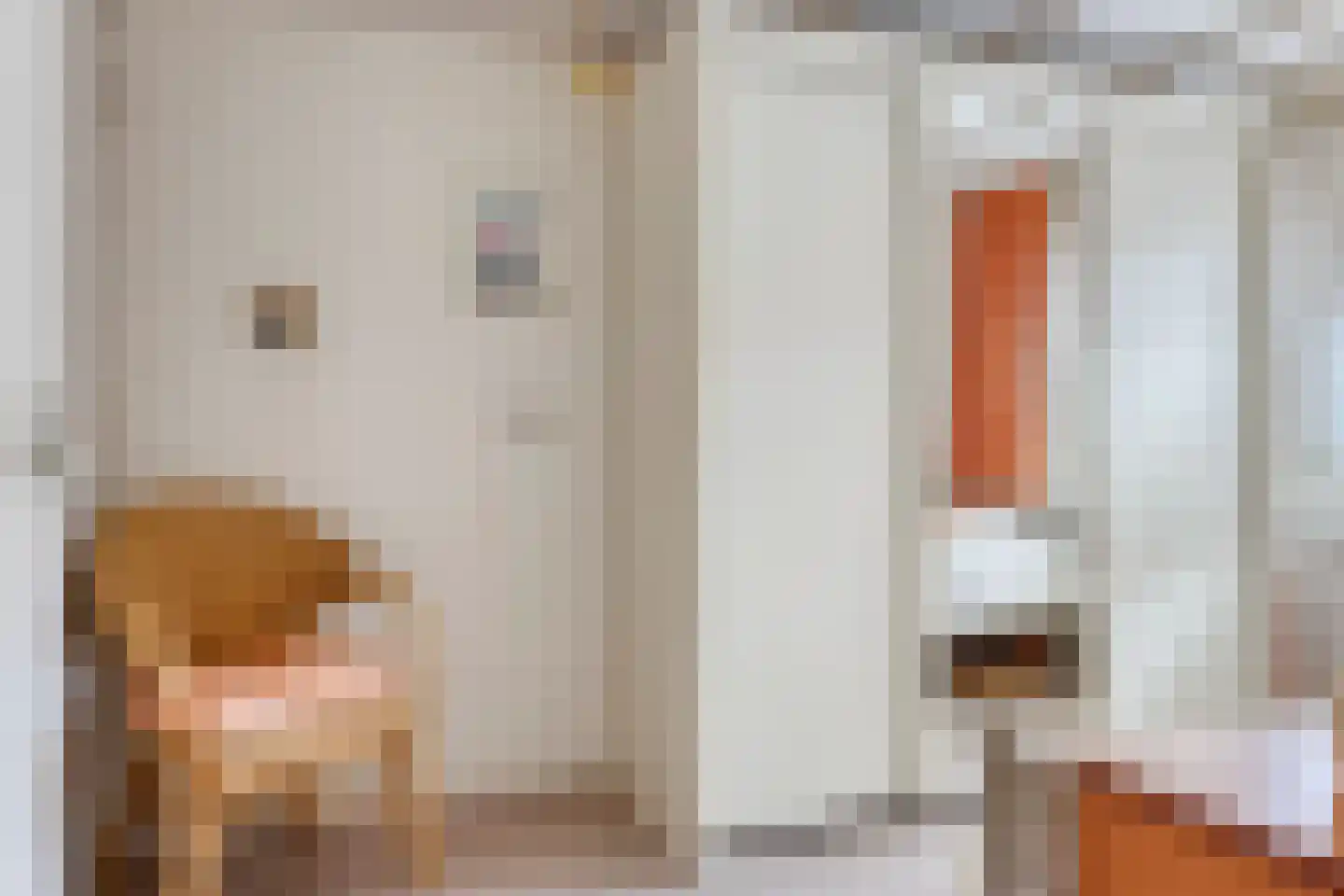 Sophiastraat 38 Pijnacker thumbnail 24