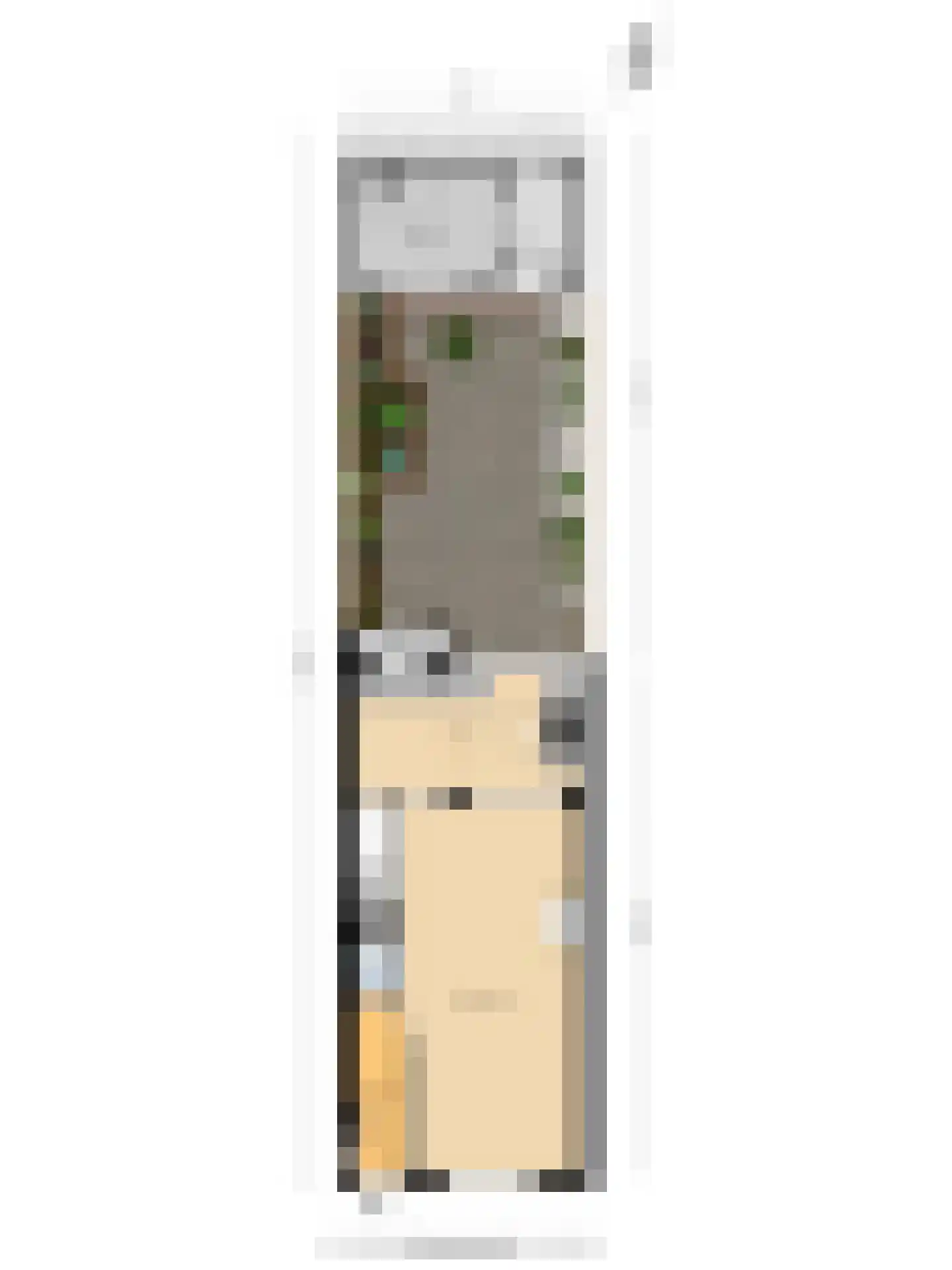 Sophiastraat 38 Pijnacker thumbnail 31
