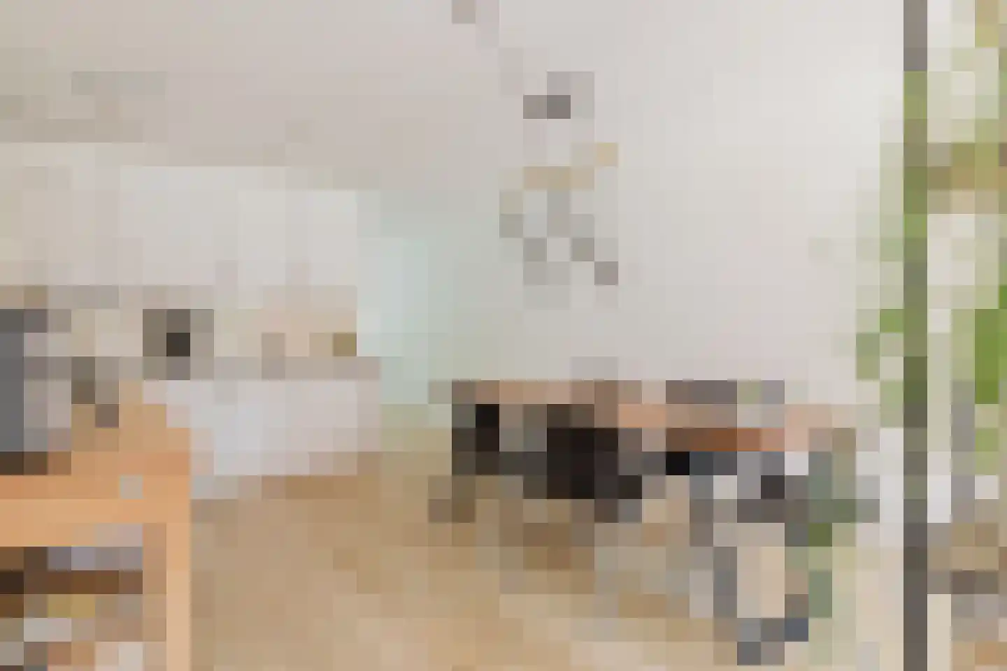 Sophiastraat 39 Breda thumbnail 4