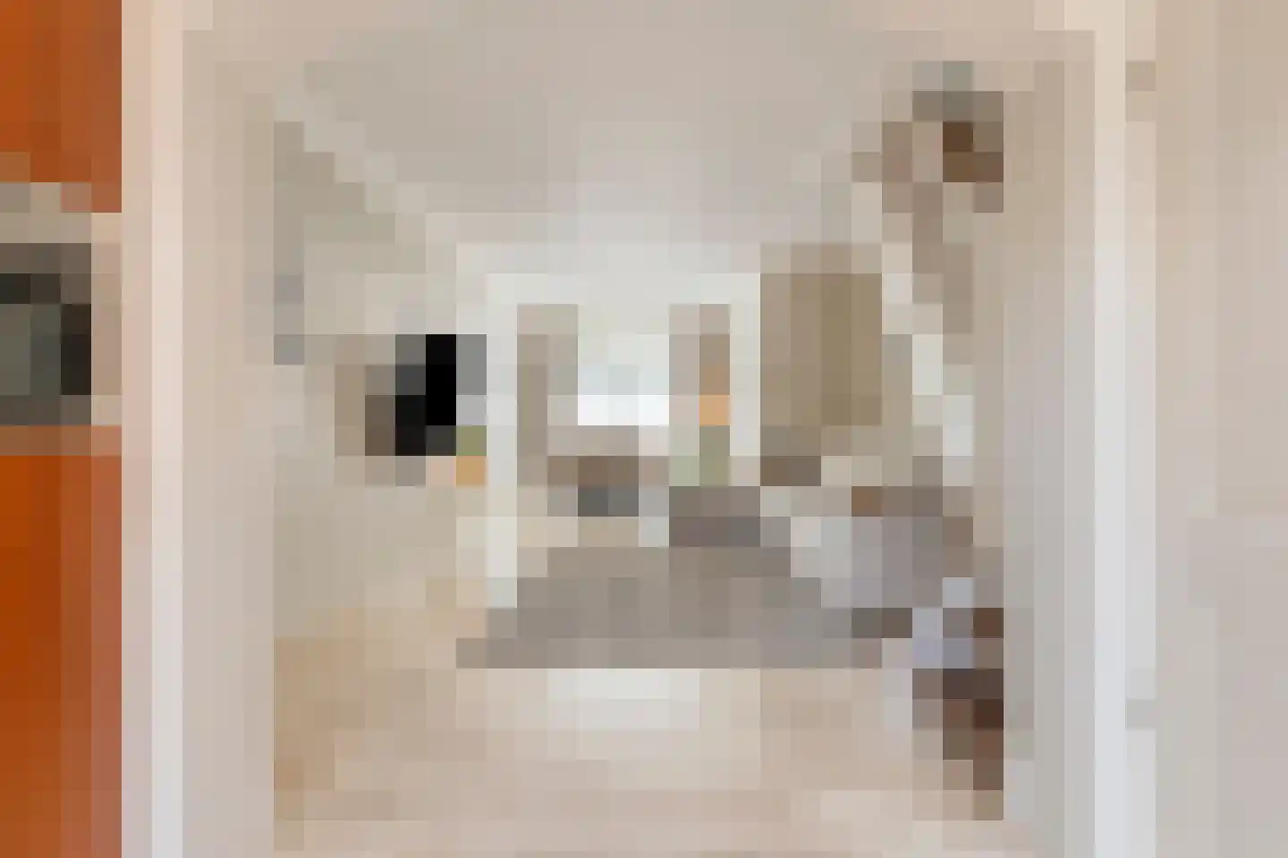 Sophiastraat 4 Leiden thumbnail 10