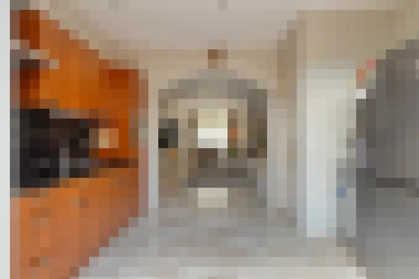 Sophiastraat 4 Leiden thumbnail 12