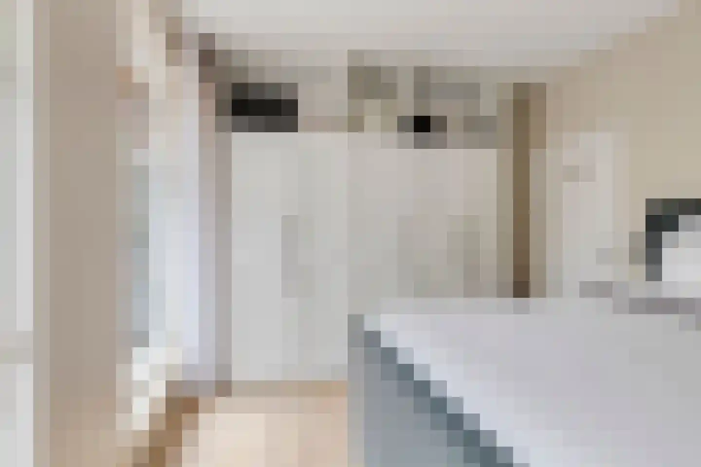Sophiastraat 4 Leiden thumbnail 23
