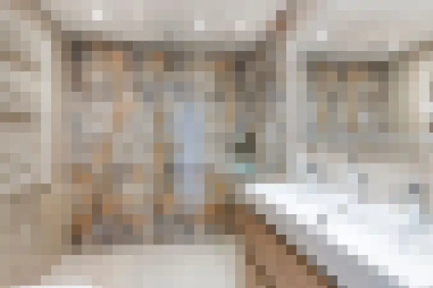 Sophiastraat 4 Leiden thumbnail 4
