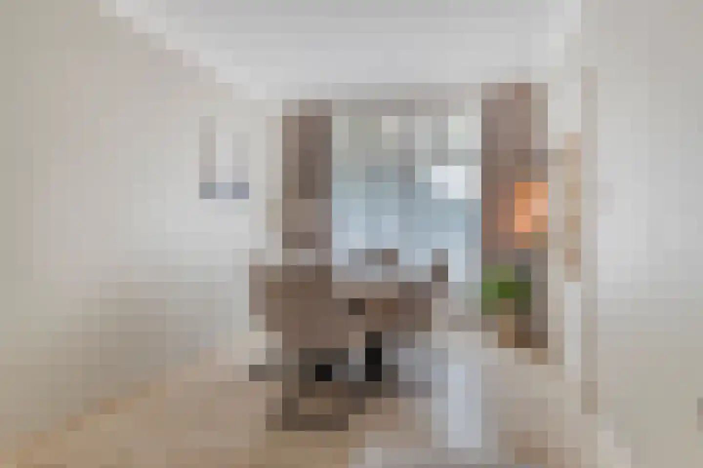 Sophiastraat 4 Leiden thumbnail 9