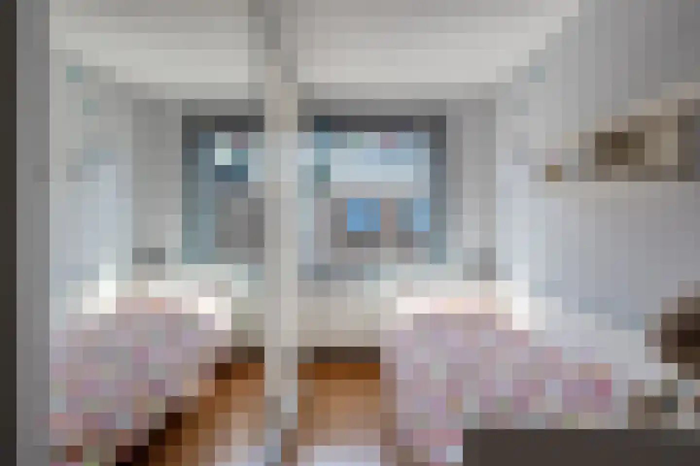 Sophiastraat 4 Pijnacker thumbnail 16