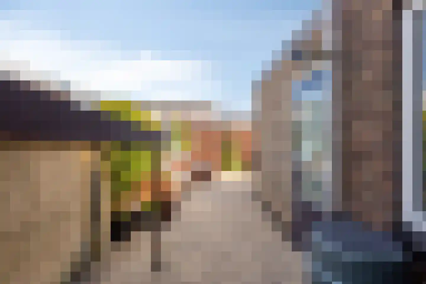 Sophiastraat 4 Pijnacker thumbnail 23