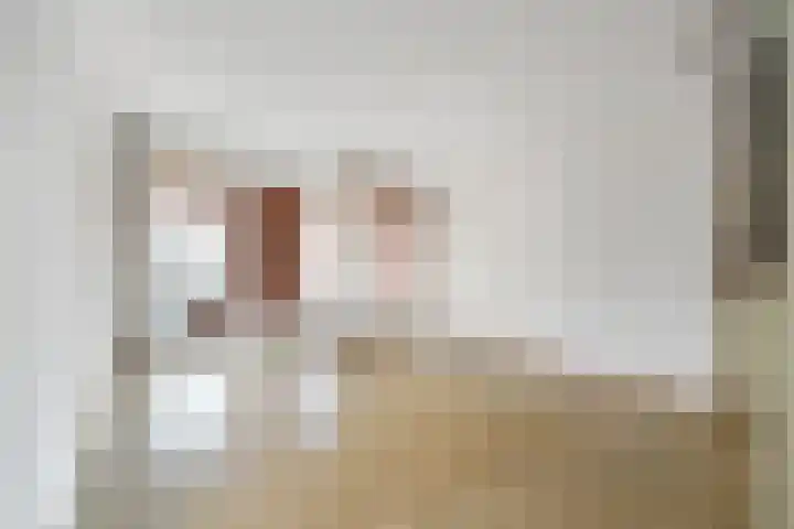 Sophiastraat 47 Breda thumbnail 24