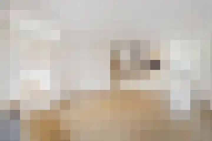 Sophiastraat 47 Breda thumbnail 25