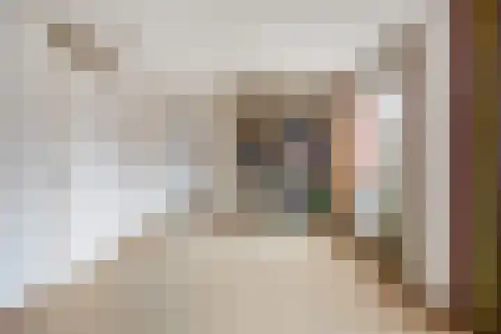 Sophiastraat 47 Breda thumbnail 37