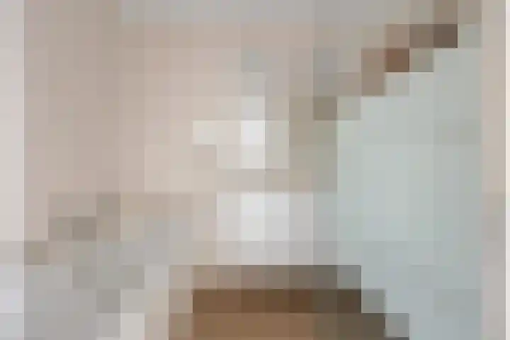 Sophiastraat 47 Breda thumbnail 5