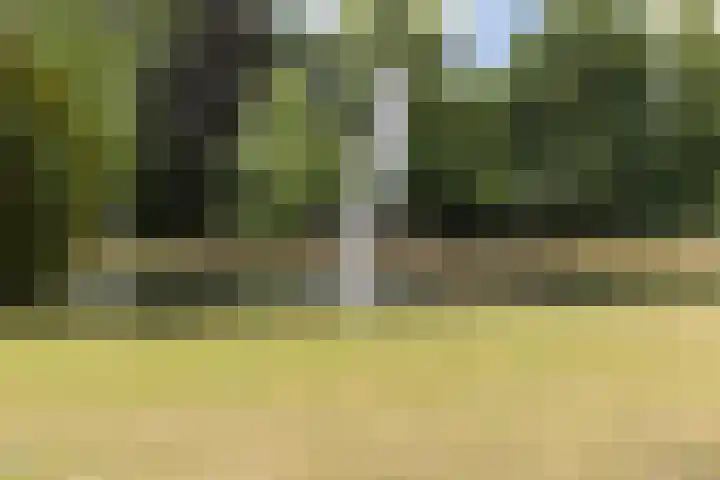 Sophiastraat 47 Breda thumbnail 50