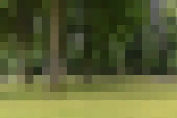 Sophiastraat 47 Breda thumbnail 52