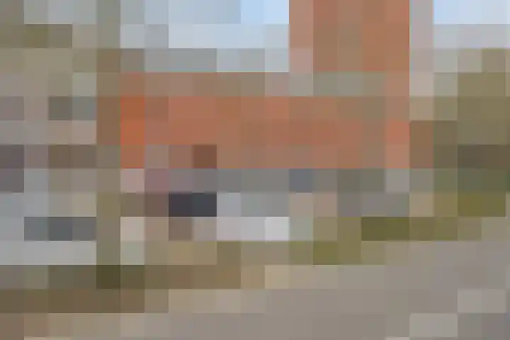 Sophiastraat 47 Breda thumbnail 8