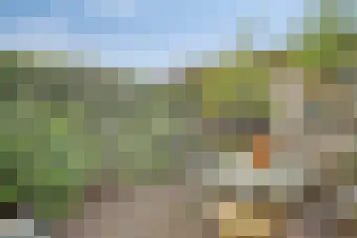 Sophiastraat 49 Pijnacker thumbnail 7