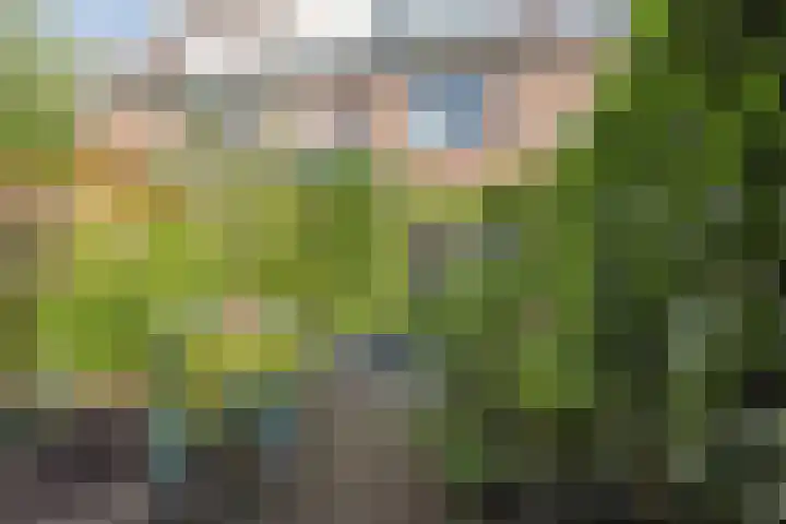 Sophiastraat 49 Pijnacker thumbnail 8