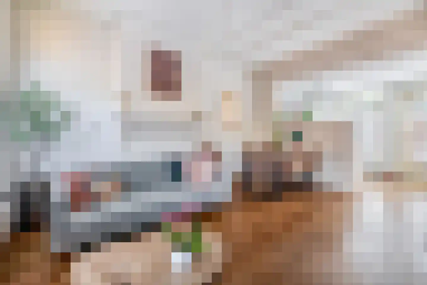 Sophiastraat 5 Groningen thumbnail 13