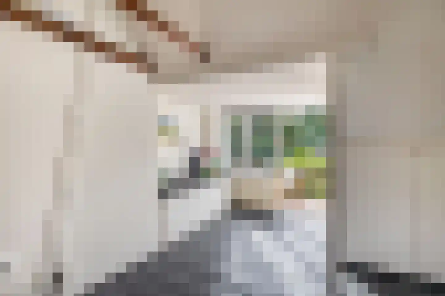 Sophiastraat 5 Groningen thumbnail 28