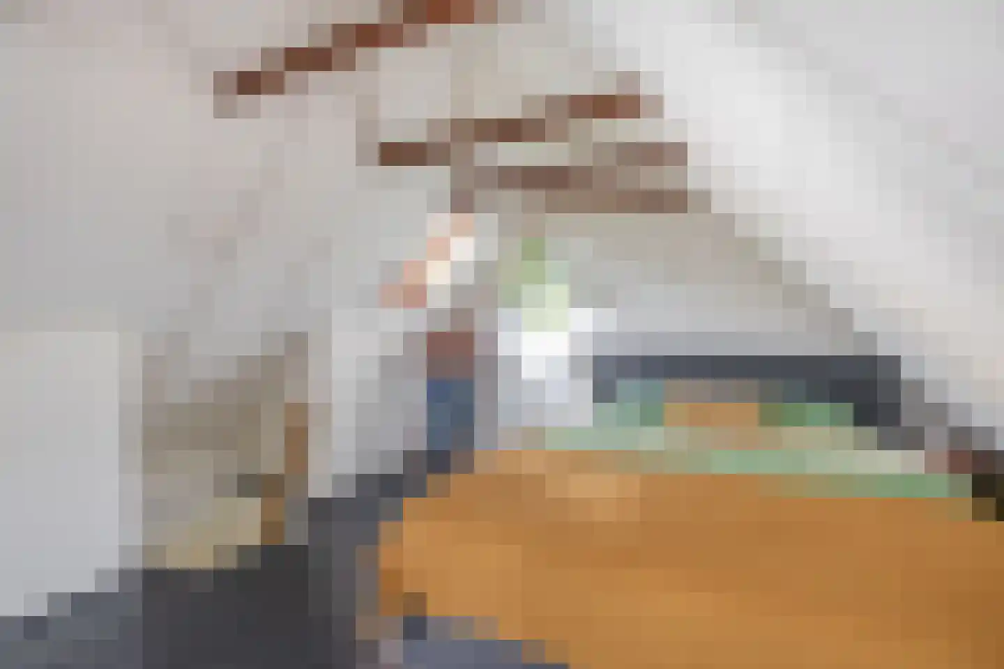 Sophiastraat 5 Groningen thumbnail 4
